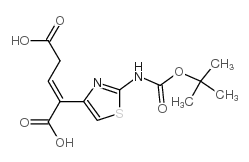 2-(2-叔丁氧羰基氨基噻唑-4-基)-2-戊烯二酸结构式