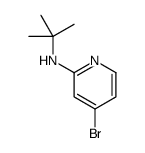 4-Bromo-N-(tert-butyl)pyridin-2-amine Structure