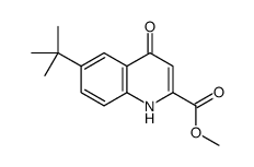 6-tert-Butyl-4-oxo-1,4-dihydro-quinoline-2-carboxylic acid Methyl ester structure