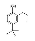 4-tert-butyl-2-prop-2-enylphenol结构式
