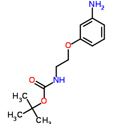 (2-(3-氨基苯氧基)乙基)氨基甲酸叔丁酯结构式