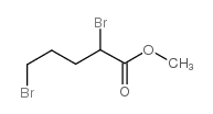 2,5-二溴戊酸甲酯结构式