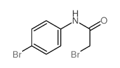 2-溴-n-(4-溴苯基)乙酰胺结构式
