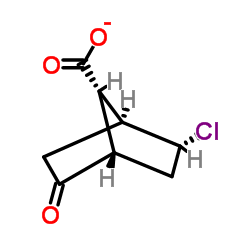 EXO-2-CHLORO-5-OXO-BICYCLO[2.2.1]HEPTANE-SYN-7-CARBOXYLIC ACID Structure