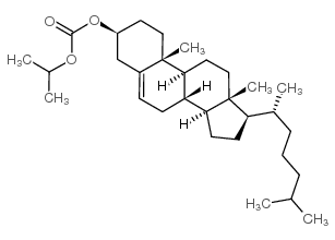 胆固醇异丙基碳酸酯图片