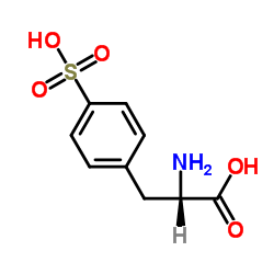 (S)-2-amino-3-(4-sulfophenyl)propanoic acid structure