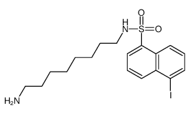 N-(8-aminooctyl)-5-iodonaphthalene-1-sulfonamide Structure