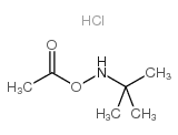 O-ACETYL-N-(TERT-BUTYL)HYDROXYLAMINE HYDROCHLORIDE Structure