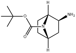 叔丁基(1R,2S,4S)-2-氨基-7-氮杂双环[2.2.1]庚烷-7-羧酸结构式