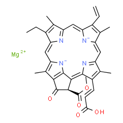 chlorophyll c Structure