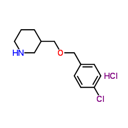3-{[(4-Chlorobenzyl)oxy]methyl}piperidine hydrochloride (1:1) Structure