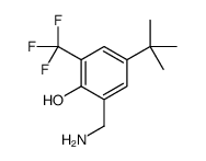 2-(aminomethyl)-4-tert-butyl-6-(trifluoromethyl)phenol Structure