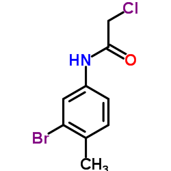 N-(3-Bromo-4-methylphenyl)-2-chloroacetamide结构式