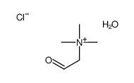 trimethyl(2-oxoethyl)azanium,chloride,hydrate Structure