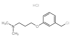 3-[3-(氯甲基)苯氧基]-N,N-二甲基丙胺盐酸盐结构式