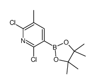 2,6-dichloro-3-methyl-5-(4,4,5,5-tetramethyl-1,3,2-dioxaborolan-2-yl)pyridine Structure
