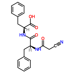 Angiotensin I-Converting Enzyme (ACE) Inactivator Structure
