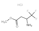3-氨基-4,4,4-三氟丁酸甲酯图片