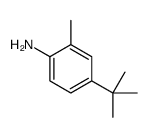 4-tert-butyl-o-toluidine结构式