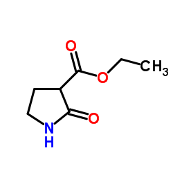 2-羰基吡咯烷-3-羧酸乙酯图片