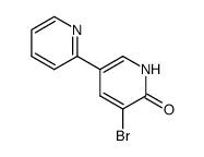 5'-broMo-[2,3'-bipyridin]-6'(1'H)-one Structure
