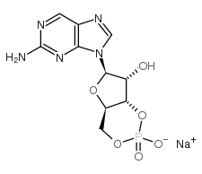 2-aminopurine riboside-3',5'-cyclic monophosphate sodium salt Structure