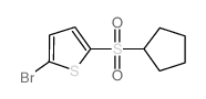 2-溴-5-(环戊基磺酰基)噻吩结构式