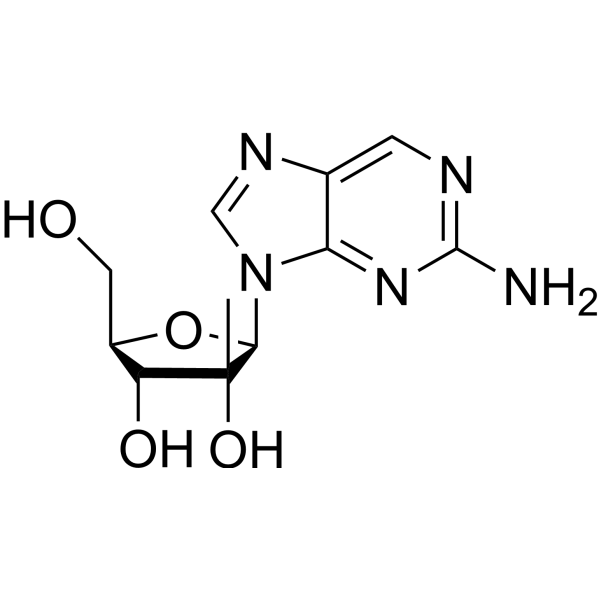 2-Amino-9-(2-C-Methyl-β-D-ribofuranosyl)-9H-purine Structure