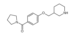(4-(piperidin-3-ylmethoxy)phenyl)(pyrrolidin-1-yl)Methanone Structure
