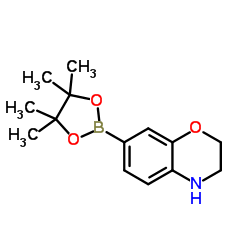 7-(4,4,5,5-四甲基-1,3,2-二噁硼烷-2-基)-3,4-二氢-2H-苯并[b][1,4]噁嗪结构式