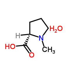 1-Methyl-L-proline monohydrate Structure