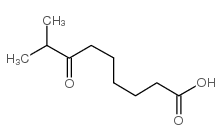 8-methyl-7-oxononanoic acid Structure