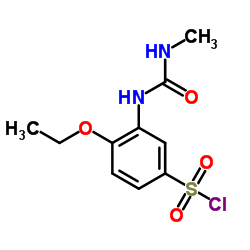 4-ETHOXY-3-(3-METHYL-UREIDO)-BENZENESULFONYL CHLORIDE结构式