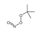(2-methylpropan-2-yl)oxy nitrite Structure