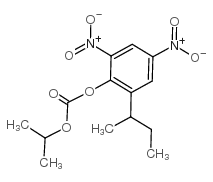 2-仲丁基-4,6-二硝基苯基异丙基碳酸酯图片