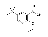 5-叔丁基-2-乙氧基苯硼酸结构式