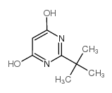 2-tert-butyl-4,6-dihydroxypyrimidine Structure