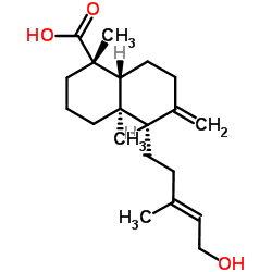 Isocupressic acid Structure