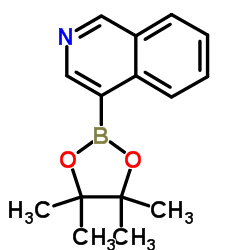 4-异喹啉硼酸频哪醇酯结构式