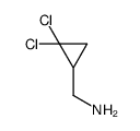 (2,2-二氯环丙基)甲胺结构式