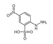 2-hydrazinyl-5-nitrobenzenesulfonic acid Structure
