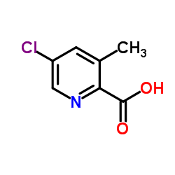 5-氯-3-甲基吡啶-2-羧酸图片
