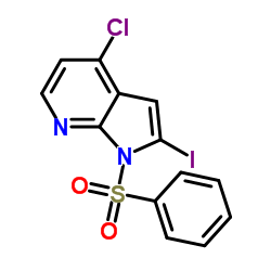 4-氯-2-碘-1-(苯基磺酰基)-1H-吡咯并[2,3-b]吡啶结构式