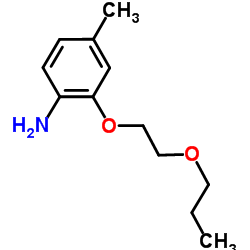 4-Methyl-2-(2-propoxyethoxy)aniline Structure