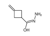 3-methylidenecyclobutane-1-carbohydrazide Structure
