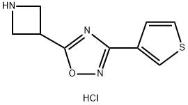5-氮杂环丁烷-3-基-3-(3-噻吩基)-1,2,4-噁二唑盐酸盐结构式
