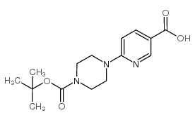 6-[4-(叔丁氧羰酰)哌嗪-1-YL]烟酸图片