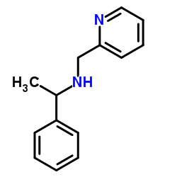 (1-PHENYLETHYL)PYRIDIN-2-YLMETHYL-AMINE Structure
