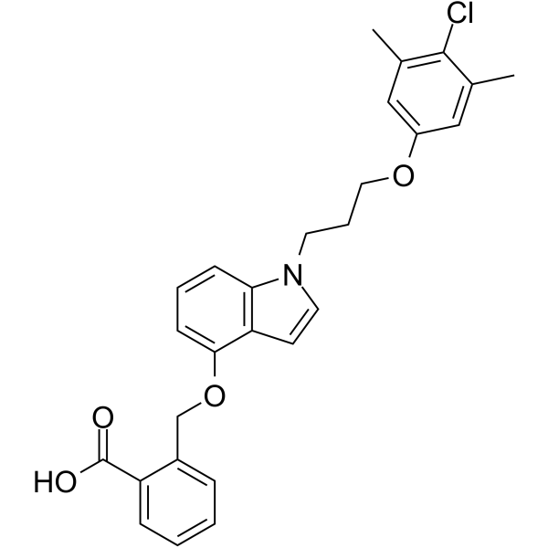 2088981-53-5 structure