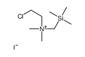 2-chloroethyl-dimethyl-(trimethylsilylmethyl)azanium,iodide Structure